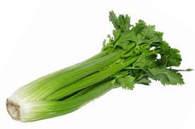 中文 celery Celery