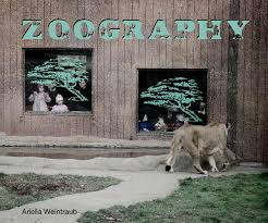 zoography