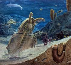 Cambrian