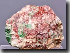 Campbellite