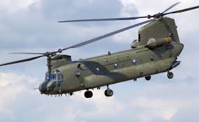 Chinook