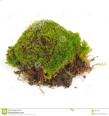 Clump