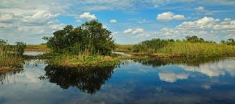 Everglades