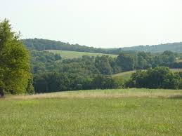 acreage