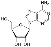 adenosine