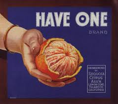 advertizement