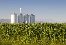 agribusiness
