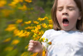 allergy