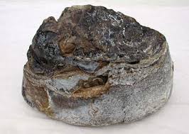 ambergris