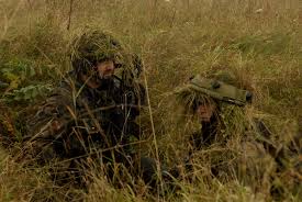 ambush