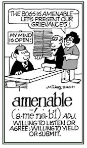 amenable