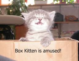amused