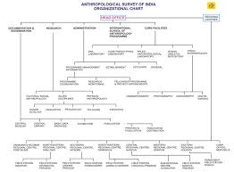 anthropological