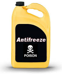 antifreeze