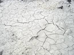 aridity
