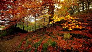 autumnal
