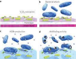 bactericidal