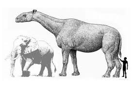 baluchitherium