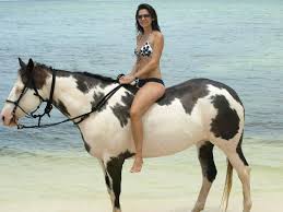 bareback