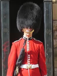 bearskin