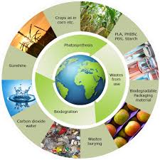 biodegrade