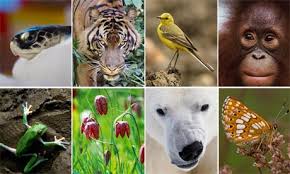 biodiversity