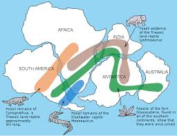biogeography