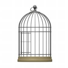 birdcage