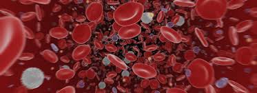 bloodstream