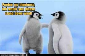 bluntness