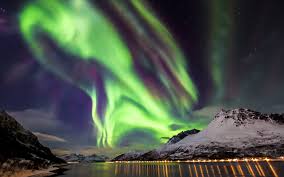 boreal