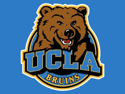 bruin