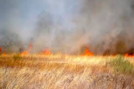 brushfire
