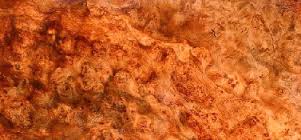burl