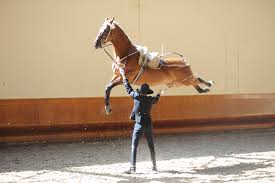 cabriole