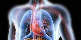 cardiopulmonary