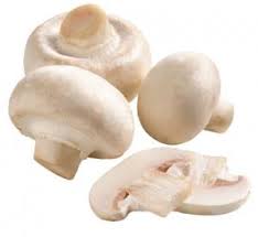 champignon