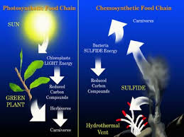 chemosynthesis