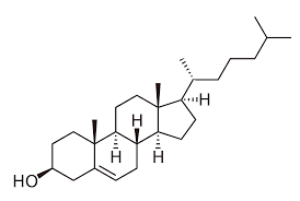 cholesterol
