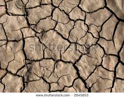 clayey