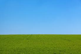 cloudless