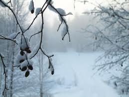 coldness