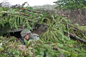 concealment