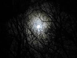darkness