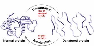 denature