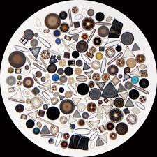 diatom