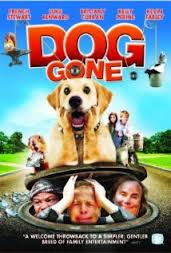 doggone