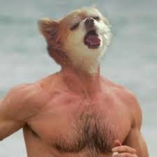 dogman