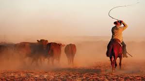 drover