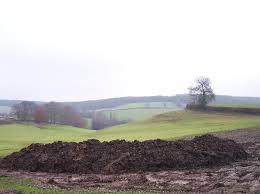 dunghill